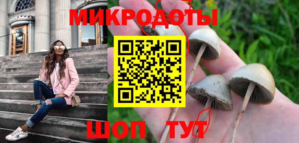 Псилоцибиновые грибы Cubensis Котельники